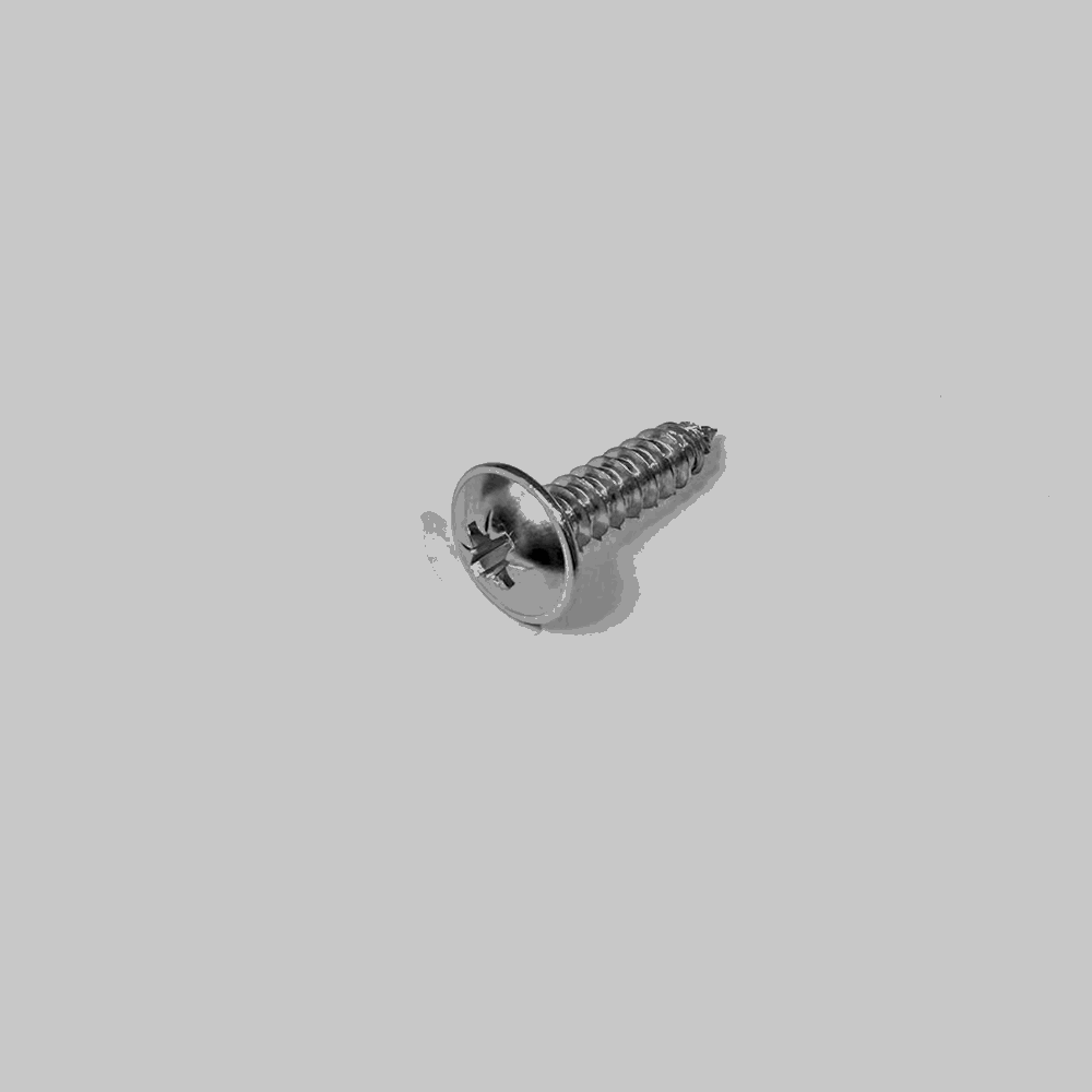 Pozi Pan Self Tappers S/S